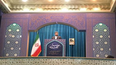 میرهاشم موسوی: در دولت مردمی سیزدهم بیش از یک میلیون و 900 هزار نفر بیمه‌شده جدید جذب شده است