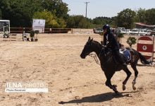 مسابقات سوارکاری پرش با اسب در قزوین برگزار شد