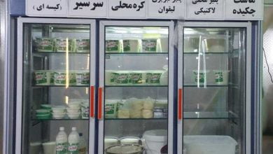 مدیرکل دامپزشکی کرمانشاه: شهروندان به هیچ عنوان لبنیات سنتی مصرف نکنند