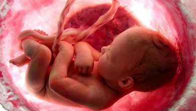 واکنش مهم وزارت بهداشت به خبر ممنوعیت غربالگری جنین