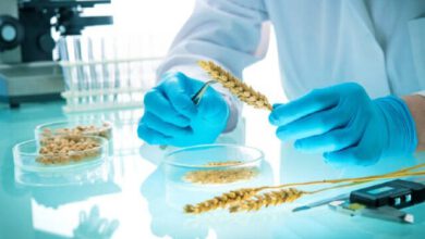 کاهش تمایل محققان در ارائه مقالات به همایش‌های علمی/زنگ خطر برای زیست‌فناوری گیاهی