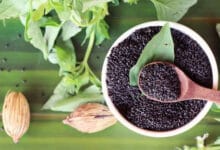 خواص شگفت انگیز تخم شربتی و طرز استفاده صحیح