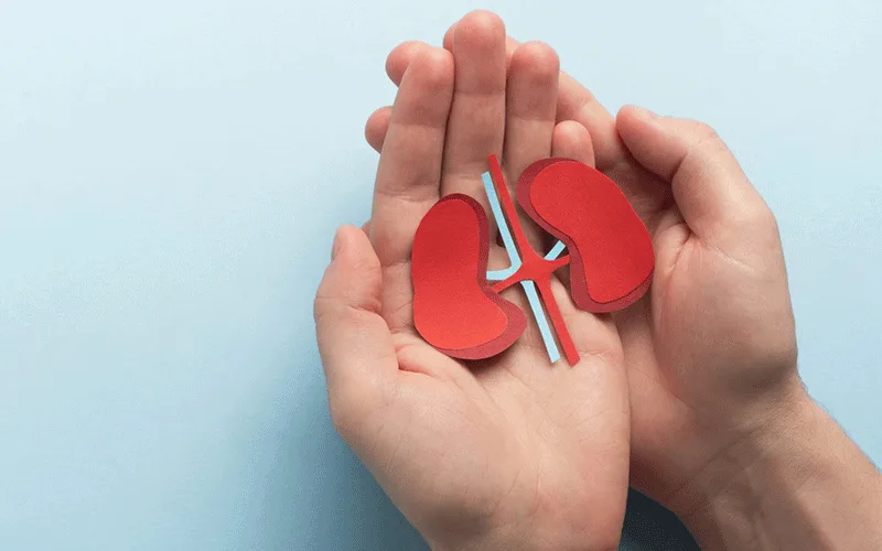 راهنمای جامع بیماری کلیوی
