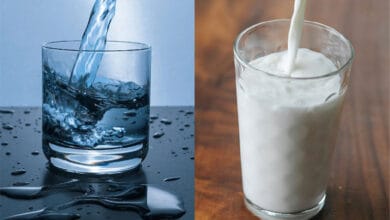 آیا شیر از آب هم بهتر آب بدن را تامین می‌کند؟