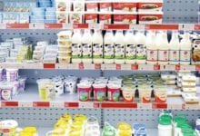 مصرف شیر و لبنیات در دوران بارداری ضروری است؟