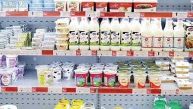 مصرف شیر و لبنیات در دوران بارداری ضروری است؟