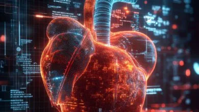 هوش مصنوعی خطر بیماری قلبی را با اعداد نمایش می‌دهد