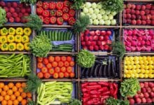 مصرف سبزیجات فشارخون را کنترل می‌کند