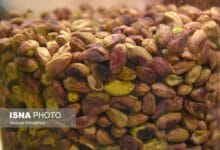 تأثیر مصرف پسته در شب بر میکروبیوم روده در مبتلایان پیش‌دیابت