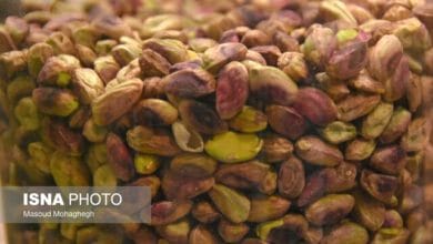 تأثیر مصرف پسته در شب بر میکروبیوم روده در مبتلایان پیش‌دیابت