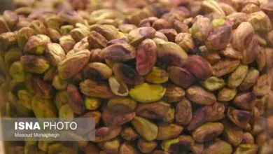 تأثیر مصرف پسته در شب بر میکروبیوم روده در مبتلایان پیش‌دیابت