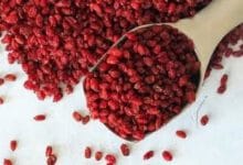 زرشک چگونه به تعادل صفرا و سلامت کبد کمک می کند؟