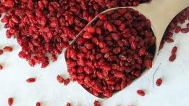 زرشک چگونه به تعادل صفرا و سلامت کبد کمک می کند؟