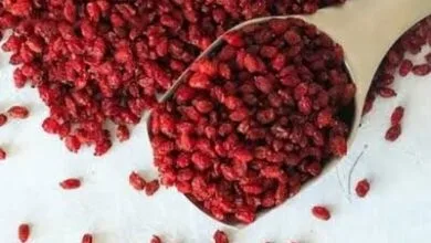 زرشک چگونه به تعادل صفرا و سلامت کبد کمک می کند؟