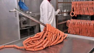 سوسیس و کالباس؛ تهدیدی جدی برای نسل آینده!