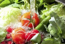 توصیه‌های طب ایرانی برای کاهش اثرات آلودگی هوا