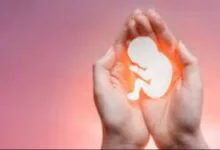 چالش‌های جوانی جمعیت؛ از کاهش ازدواج تا سقط جنین