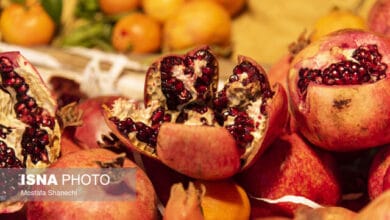 درباره ارزش غذایی خوراکی‌های شب یلدا چه می‌دانیم؟