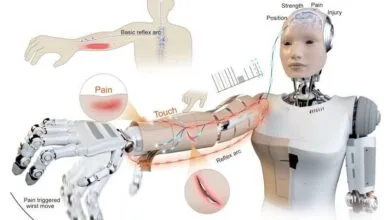 پوست هوشمند، ربات‌ها را از خطر دور می‌کند