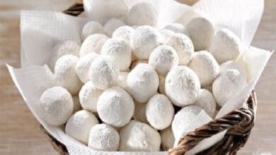 کشک خشک؛ بمب کلسیم با مصرفی که حد و مرز دارد / اسنک‌های کشکی سالم‌اند؟