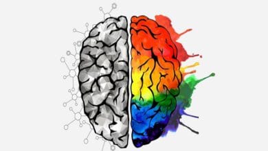 زندگی طولانی‌تر و سالم‌تر با پرورش خلاقیت و هنر