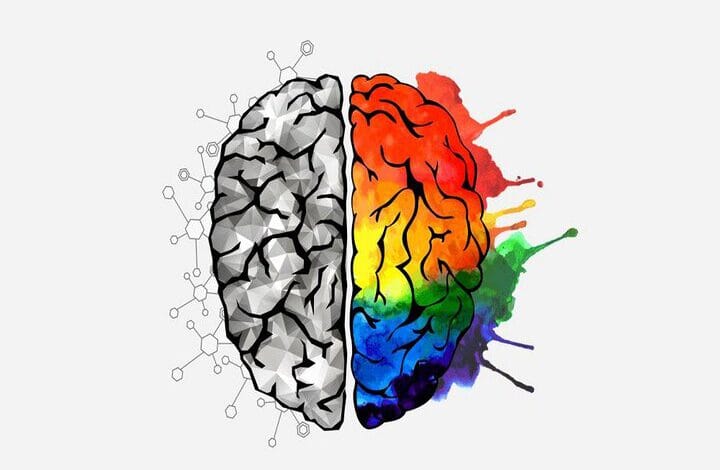 زندگی طولانیتر و سالمتر با پرورش خلاقیت و هنر