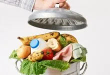 نسخه وزارت بهداشت برای کاهش ضایعات غذایی در کشور