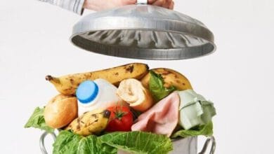 نسخه وزارت بهداشت برای کاهش ضایعات غذایی در کشور